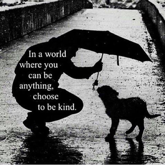 Meet your Posher, Lori - Picture 2 of 3